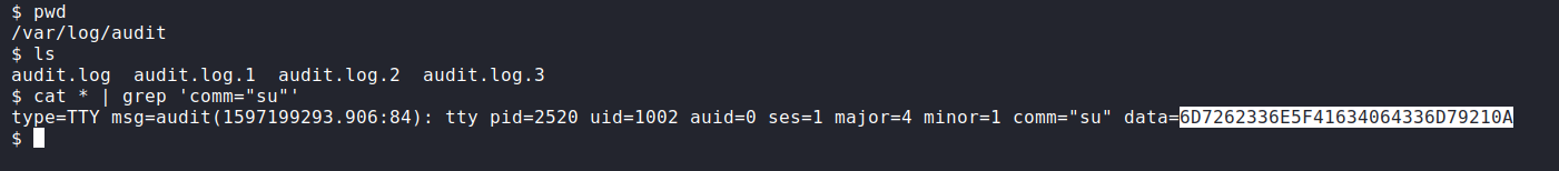 audit
